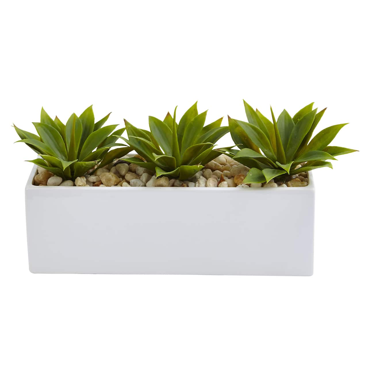13" Agave Succulent in White Rectangular Planter